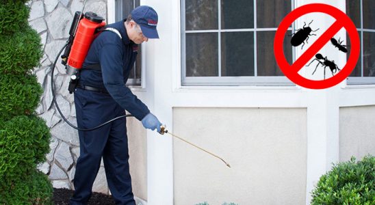 Yağlıdere Kene İlaçlama böcek ilaçlama ve haşere kontrolü — ilaclama-tr.com